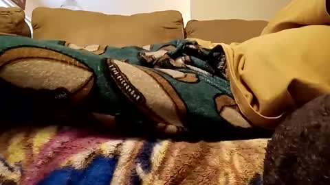 Snapshot of looking4bush chatting on 12.15.24 looking4bush online show from 12.15.24