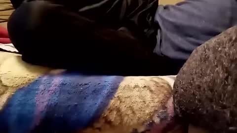 looking4bush online show from 11.13.25