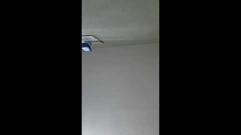 2791 3D online show from 12.17.25