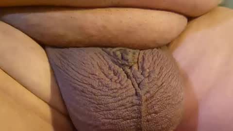 2791 3D online show from 04.14.26