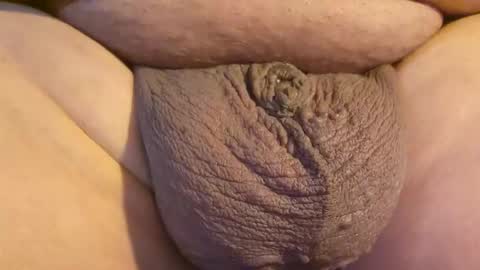 2791 3D online show from 04.23.26