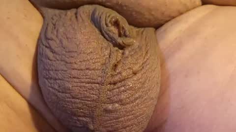 2791 3D online show from 04.26.26