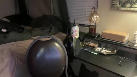 Lottiepoppie online show from 12.11.24
