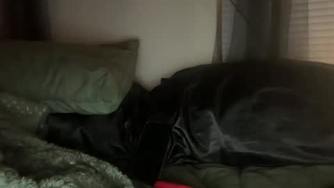 Lottiepoppie online show from 01.03.25