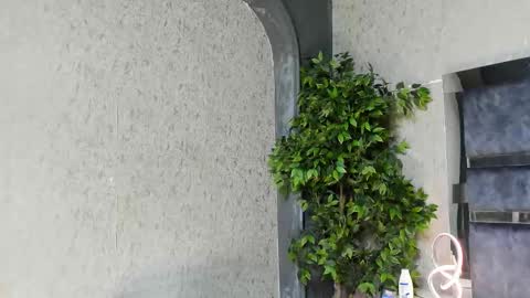 Louis online show from 11.25.25