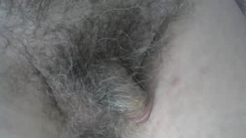 loveabush49 online show from 11.05.25