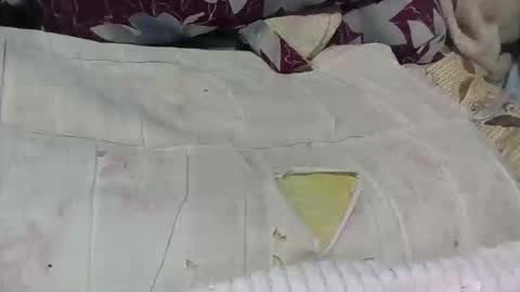 loveinlife750427 online show from 04.15.26