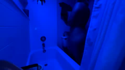 Thalii online show from 11.09.25