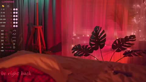 Nelly online show from 02.21.25