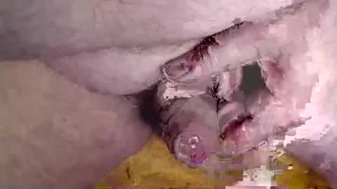 Snapshot of lover_troll chatting on 02.16.26 lover_troll online show from 02.16.26