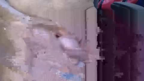 Lovesblackazz online show from 03.09.26