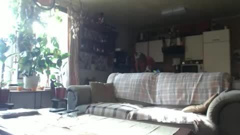 aaron online show from 10.18.25