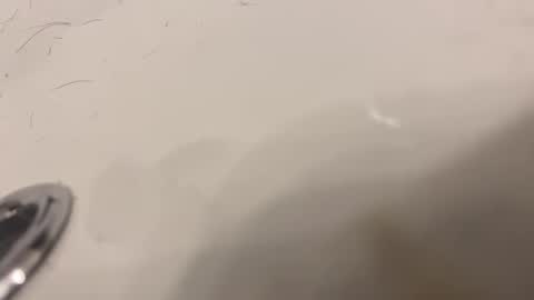 Snapshot of lovetoplayinmnwithu chatting on 01.30.25 lovetoplayinmnwithu online show from 01.30.25