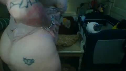 lovetubes101 online show from 10.03.25