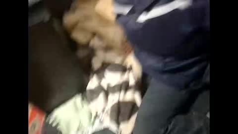 Lshot D online show from 11.28.25