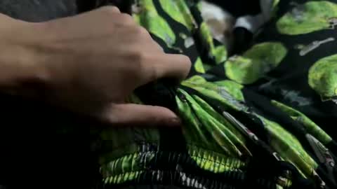 lu495400 online show from 01.26.25