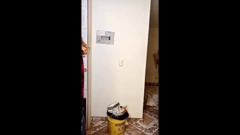 luana363 online show from 01.11.26