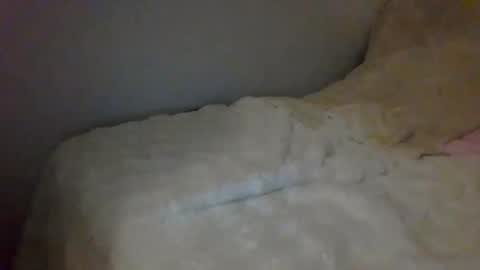 Snapshot of lucany__ chatting on 12.26.24 Luca online show from 12.26.24