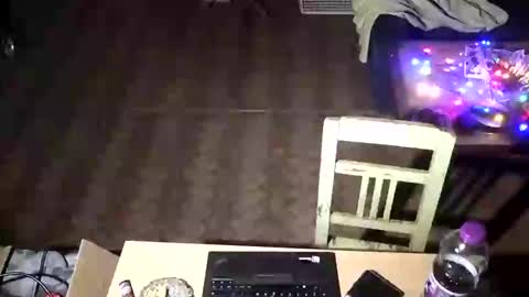 lucas84boy online show from 02.08.25