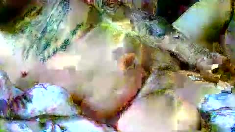 lucky134u online show from 04.06.26