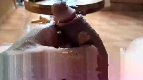 Snapshot of lucky_og24 chatting on 12.27.24 lucky_og24 online show from 12.27.24