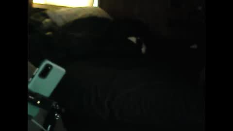 Snapshot of luckyblondecouple chatting on 12.09.24 LuckyBlondeCouple online show from 12.09.24