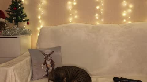 Katerina  online show from 12.25.24