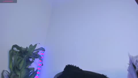 Snapshot of lucyshen_ chatting on 11.07.25 luciana online show from 11.07.25