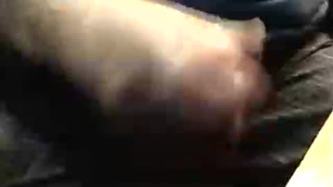 lukestarfckr online show from 11.23.25