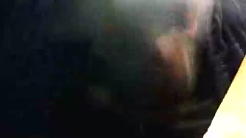 lukestarfckr online show from 02.15.26