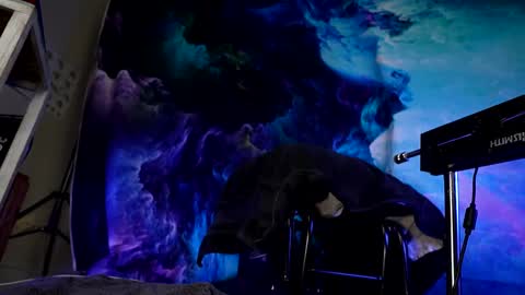 Snapshot of lukewilde chatting on 02.24.25 lukewilde online show from 02.24.25