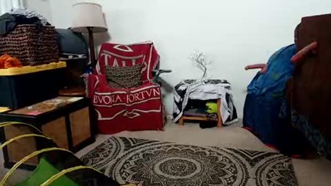 Daddys Fuck Boy online show from 05.14.26