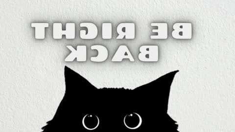 elizabeth online show from 03.06.26