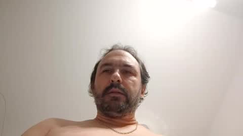 Ludo online show from 11.11.25