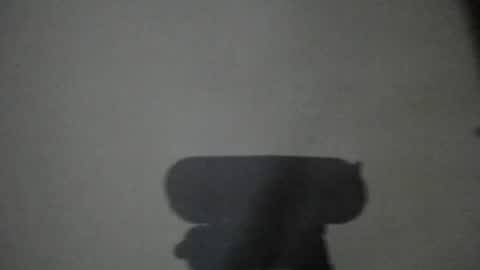 Snapshot of lumineverligth chatting on 06.25.26 Emily online show from 06.25.26