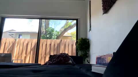 lunaloopzz online show from 03.11.26