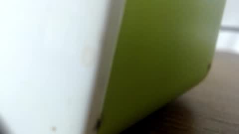 luna online show from 10.05.25