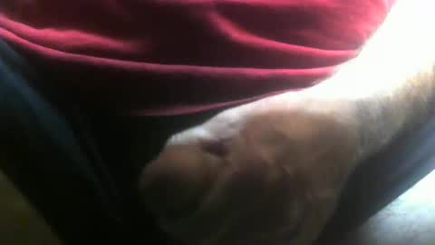 lunatica12 online show from 02.10.26