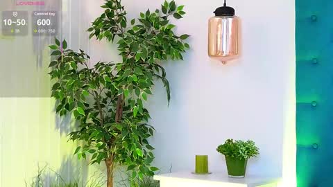 Luna online show from 11.26.25