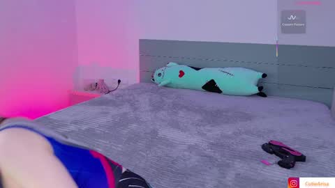 Asami online show from 04.04.26