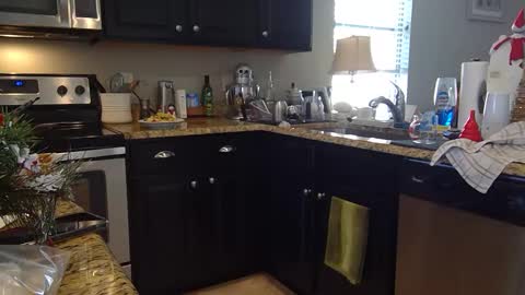 lustersp1ce online show from 12.06.24