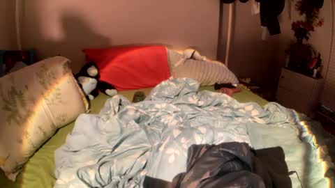 LOLA online show from 02.19.26