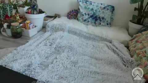 lustlnbalancevh online show from 01.19.26