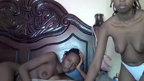lutino_lovebirds online show from 03.19.26