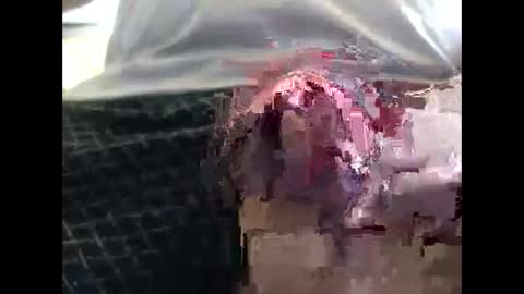 lutorres online show from 09.19.25