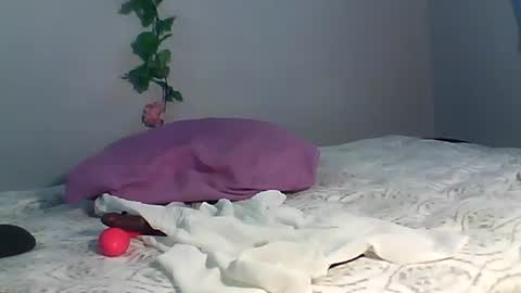 Snapshot of luvu4everxxx chatting on 10.15.25 Bee Bee online show from 10.15.25