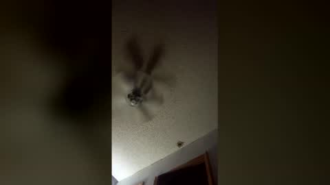 lvckthegoat online show from 03.12.26