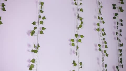 Lyly   online show from 09.27.25