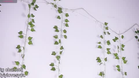 Lyly   online show from 01.13.26