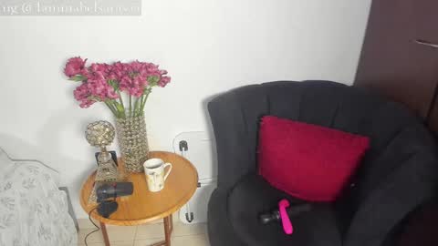 Snapshot of mabelsaravia chatting on 11.16.25 mabel online show from 11.16.25